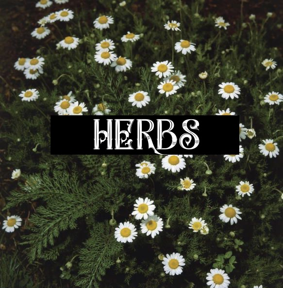 HERBS